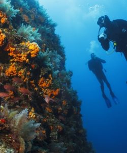 iStock-541599504_sub